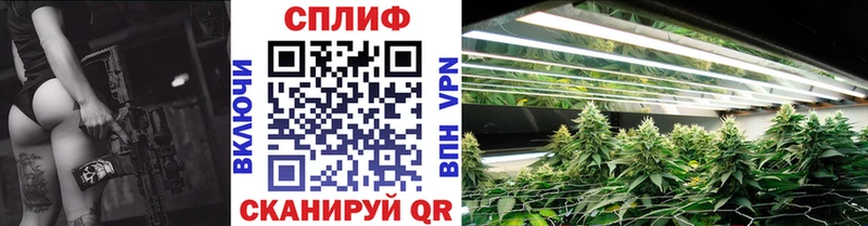 Шишки марихуана семена  Купить закладки  Кола 